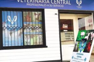 Veterinaria Central Loncoche