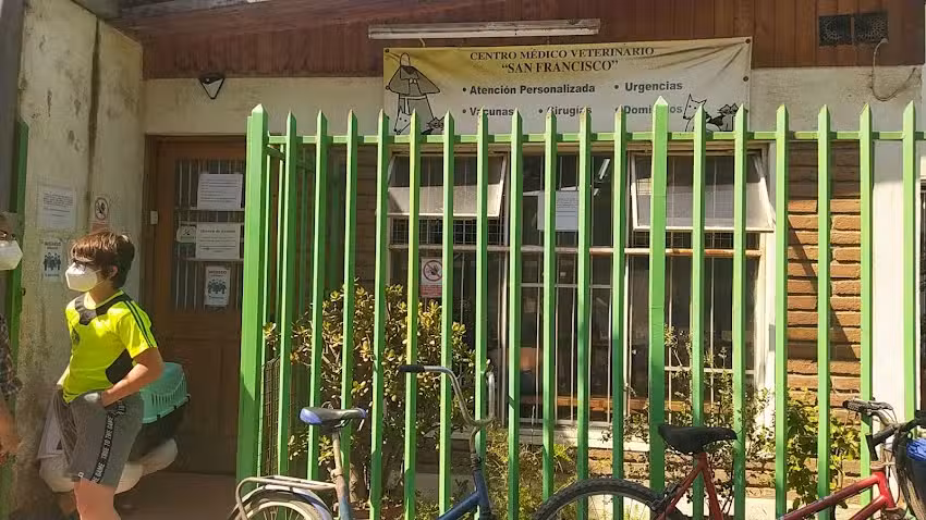 Veterinaria &ndash; Centro Medico Veterinario San Francisco