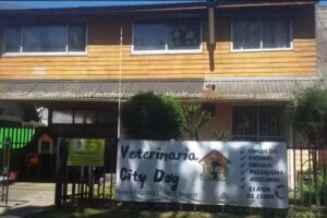 Veterinaria City Dog