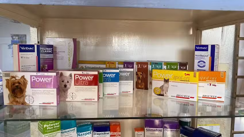 Veterinaria Claudia Ojeda