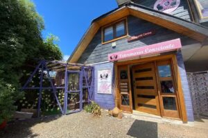 Veterinaria consciente