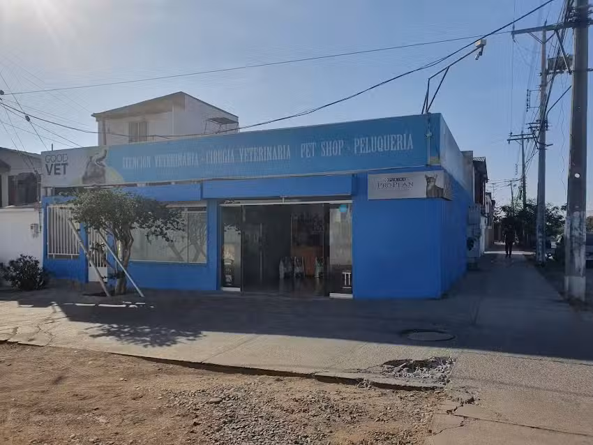 Veterinaria &ldquo;Cruz Azul&rdquo; Arica