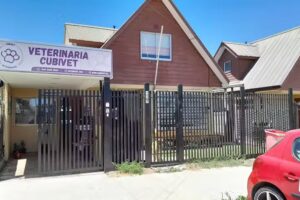 Veterinaria C&Uacute;BIVET
