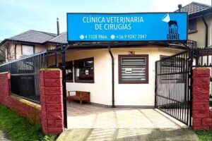 Veterinaria de Cirug&iacute;as Valle Grande