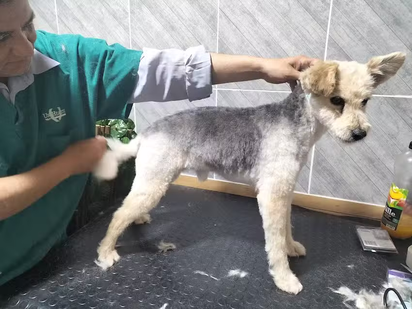 VETERINARIA DE MONTA&Ntilde;A