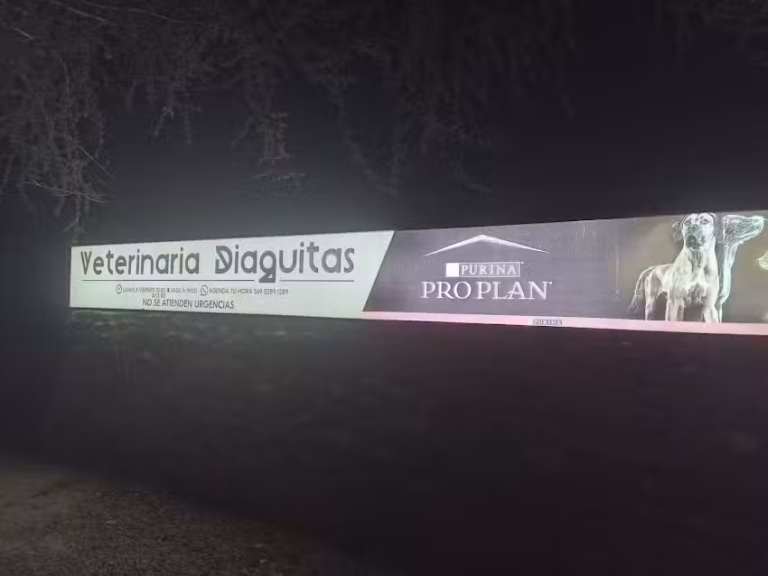 Veterinaria diaguitas 2.0