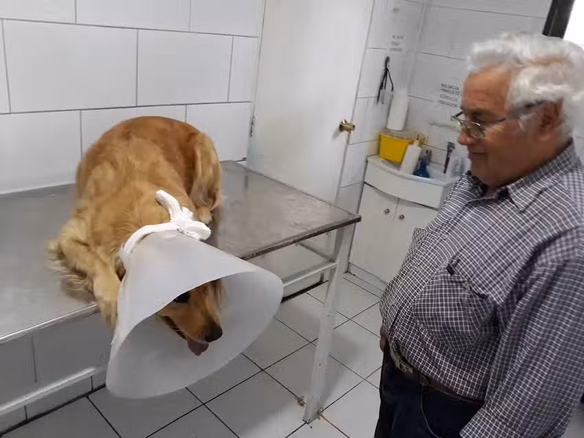 Veterinaria Diego Silva