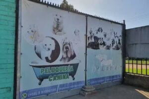 Veterinaria &ldquo;Dog Lover&rdquo;