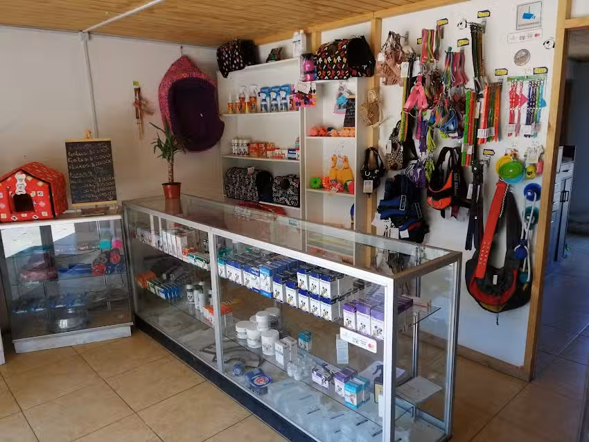 Veterinaria Dogtor Villacura