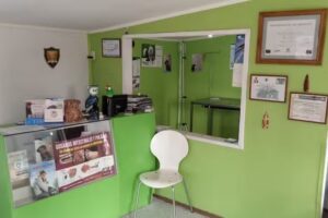 Veterinaria El Petirrojo