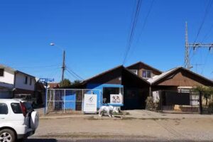 Veterinaria ex Primitivo (sanatorioVetPet ahora)