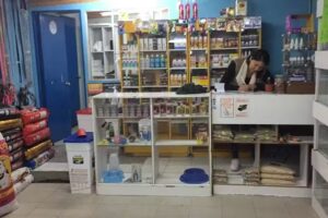 Veterinaria Galapagos Pets