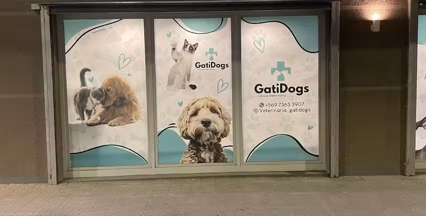 Veterinaria Gatidogs