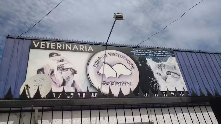 Veterinaria GoldenVet