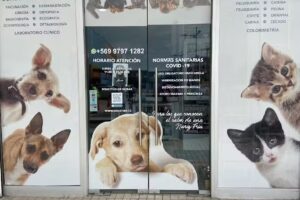 Veterinaria Haustier