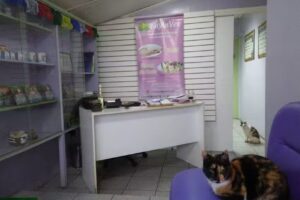 Veterinaria Holistica Sayin