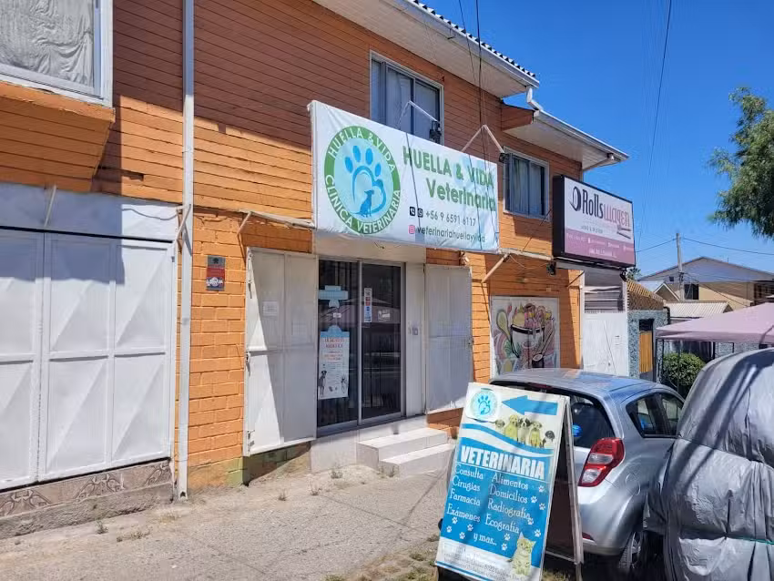 Veterinaria Huella Y Vida