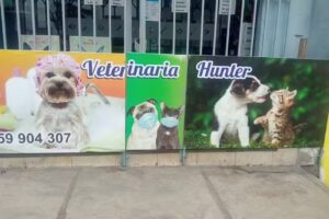 Veterinaria hunter