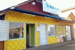 Veterinaria Llanquihue