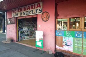 Veterinaria LOS ANGELES