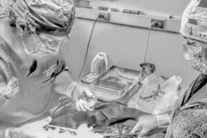 Veterinaria Los Perales