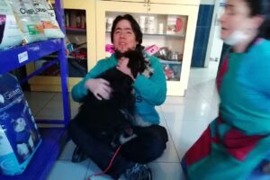 Veterinaria Magallanes