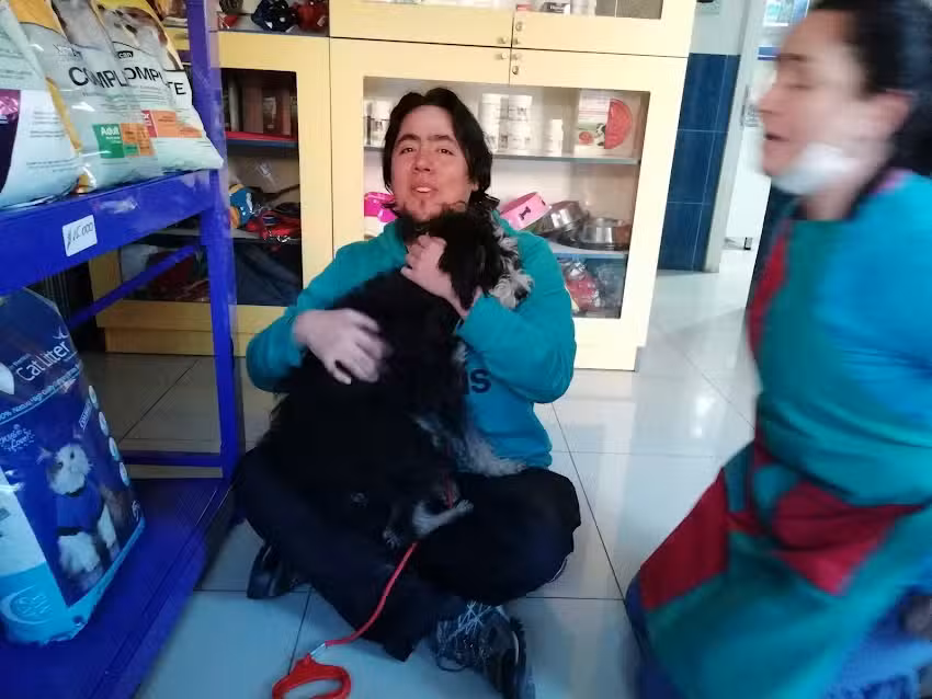 Veterinaria Magallanes