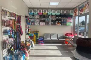 Veterinaria Mascota Planet, Puerto Montt