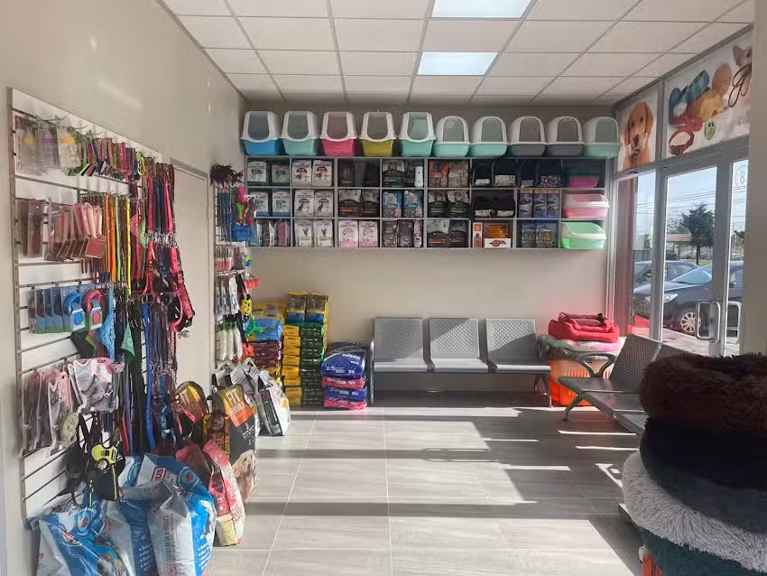 Veterinaria Mascota Planet, Puerto Montt