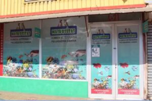 Veterinaria Maskotitas