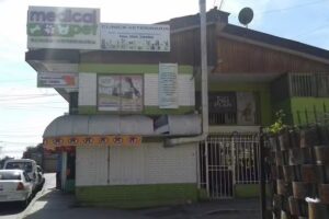 Veterinaria Medical Pet