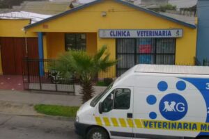 Veterinaria MG &ndash; Dr. Manuel Garc&iacute;a Aguilar