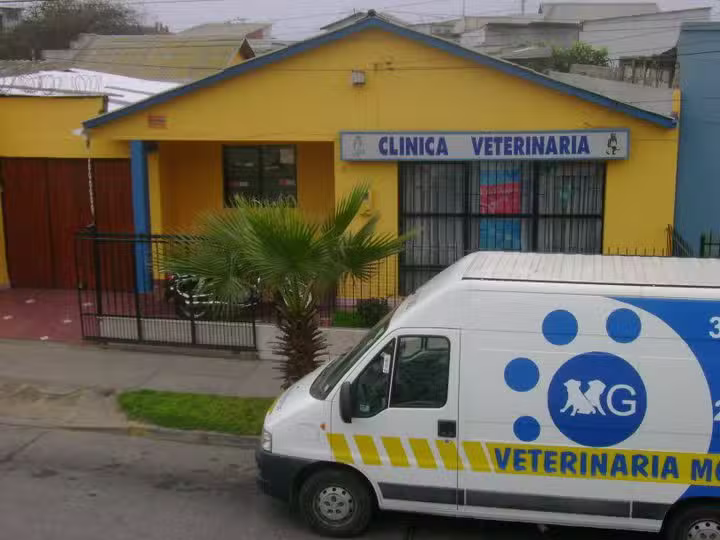 Veterinaria MG &ndash; Dr. Manuel Garc&iacute;a Aguilar