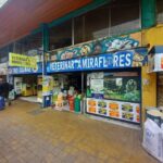 Veterinaria Miraflores