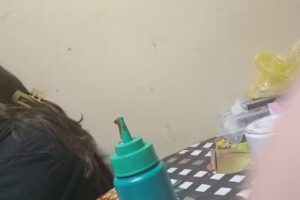 Veterinaria Monica Flores Estay