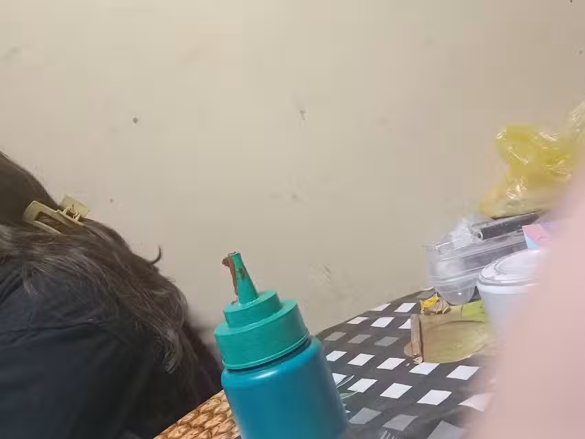 Veterinaria Monica Flores Estay