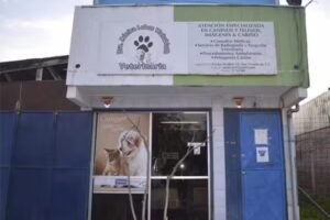 Veterinaria monica lobos