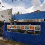 veterinaria mota