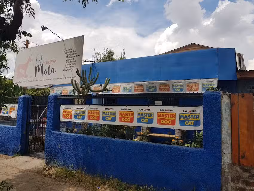 veterinaria mota