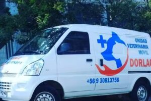 Veterinaria movil dorlag
