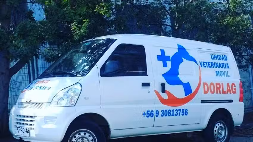 Veterinaria movil dorlag