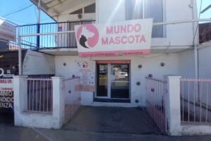 Veterinaria mundo mascota