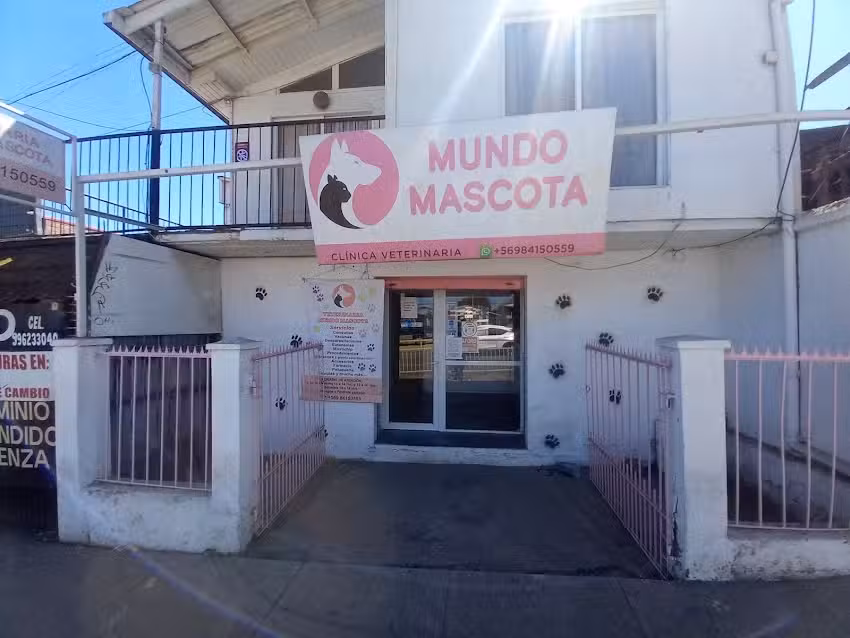 Veterinaria mundo mascota