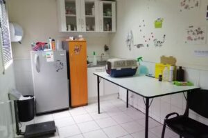 Veterinaria Municipal