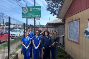 Veterinaria Municipal Angol