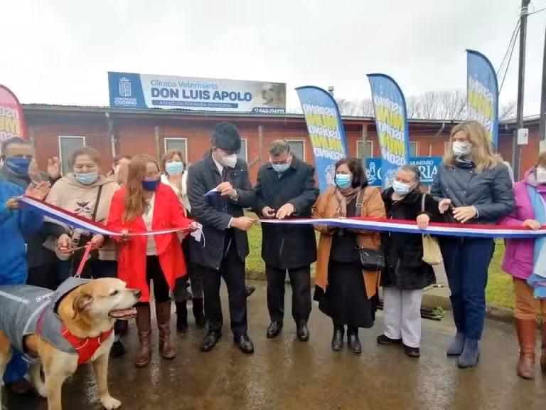 Veterinaria municipal don Luis Apolo