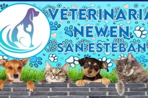 Veterinaria Newen San Esteban, Valle del Aconcagua. Los Andes.