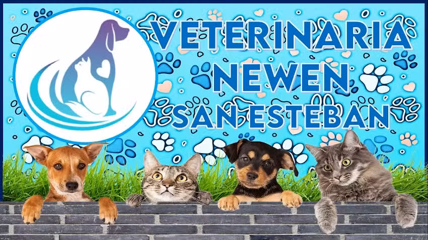 Veterinaria Newen San Esteban, Valle del Aconcagua. Los Andes.