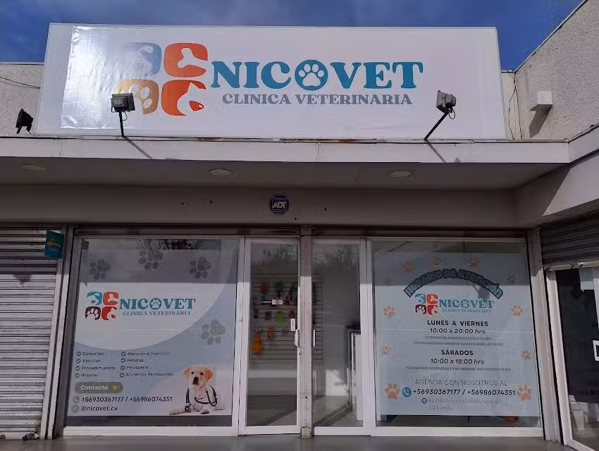 Veterinaria NicoVet
