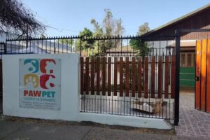 Veterinaria Paw pet